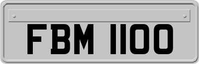 FBM1100