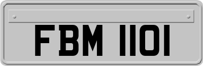 FBM1101