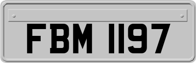 FBM1197