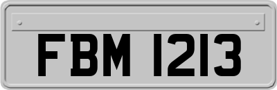 FBM1213