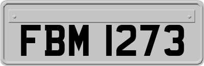 FBM1273