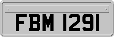 FBM1291
