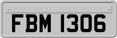 FBM1306