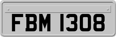 FBM1308