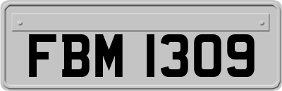 FBM1309