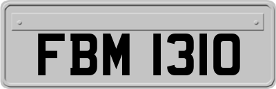 FBM1310