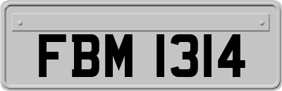 FBM1314
