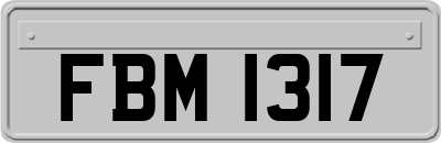 FBM1317