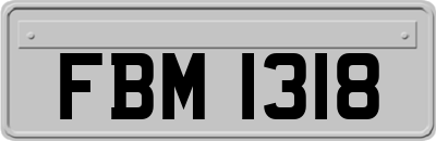 FBM1318