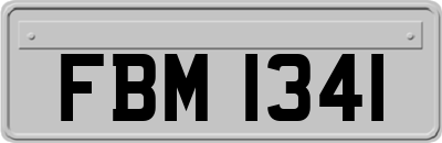 FBM1341