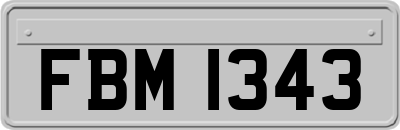 FBM1343