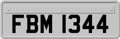 FBM1344