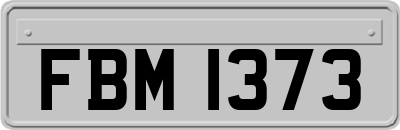 FBM1373