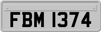 FBM1374