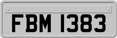 FBM1383