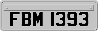 FBM1393