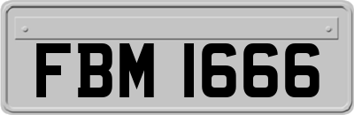 FBM1666