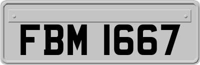 FBM1667