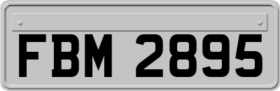 FBM2895