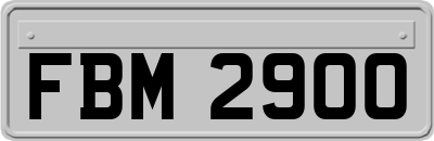 FBM2900