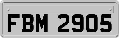 FBM2905