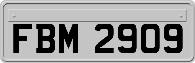 FBM2909