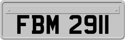 FBM2911