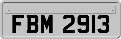 FBM2913