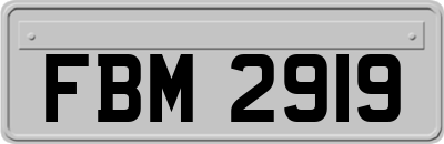 FBM2919