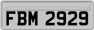 FBM2929