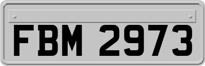 FBM2973