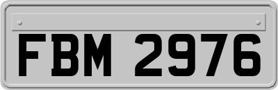 FBM2976