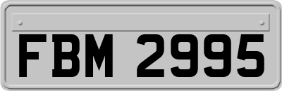 FBM2995