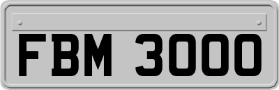 FBM3000