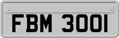 FBM3001