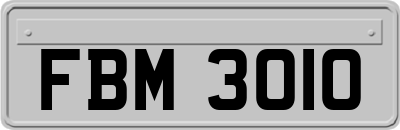 FBM3010