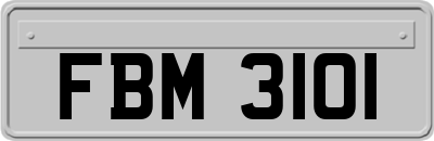 FBM3101