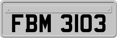 FBM3103