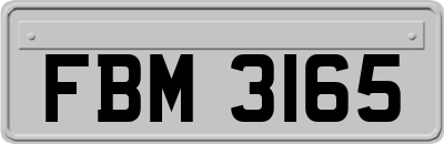 FBM3165