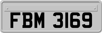 FBM3169