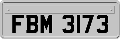 FBM3173