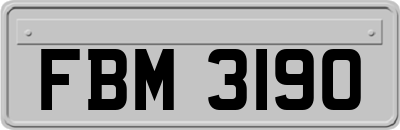 FBM3190