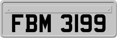 FBM3199