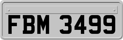 FBM3499