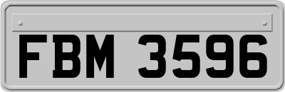FBM3596