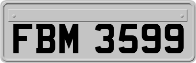 FBM3599