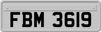 FBM3619