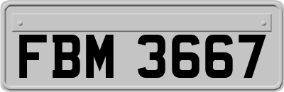 FBM3667