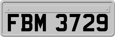 FBM3729