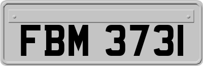 FBM3731